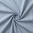 Blue and white striped fabric with a swirl pattern